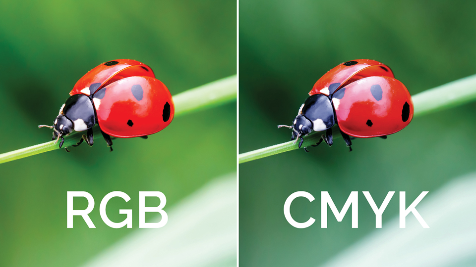 CMYK і RGB в поліграфії: відмінність і проблеми