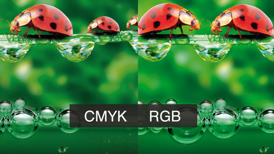 CMYK и RGB в полиграфии: отличие и проблемы